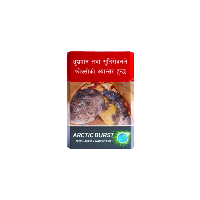  Surya Arctic Pack